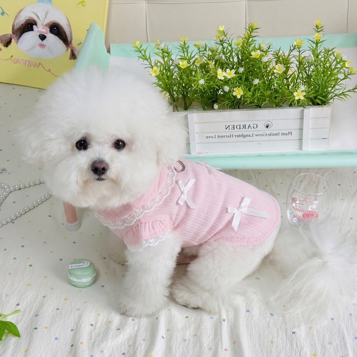 Rompi Renda Pita Pet Spring, K - Lace Teddy Lingerie ulasan dan harga